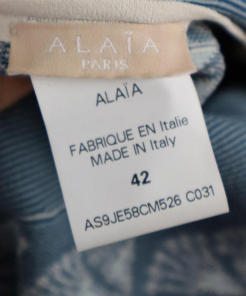 Alaia Cream & Blue Print Skirt 3