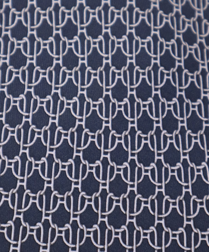 Hermes Blue Print Tie 3
