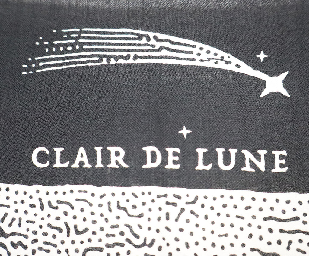 Hermes Clair de Lune Cashmere & Silk Shawl 3