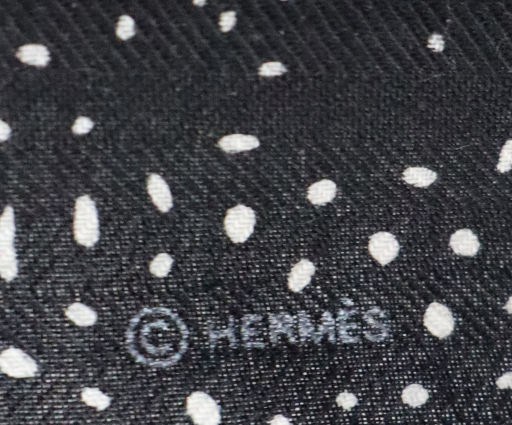 Hermes Clair de Lune Cashmere & Silk Shawl 6