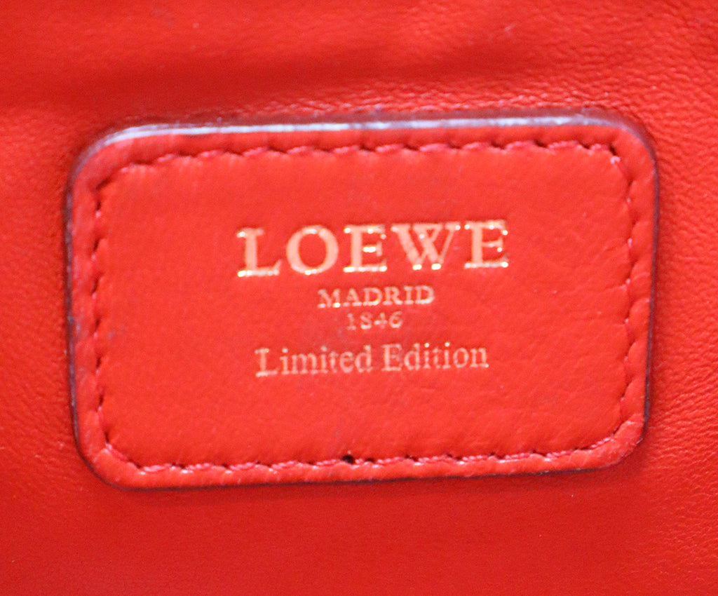 Loewe Red Orange & Blue Leather Amazona Tote 6