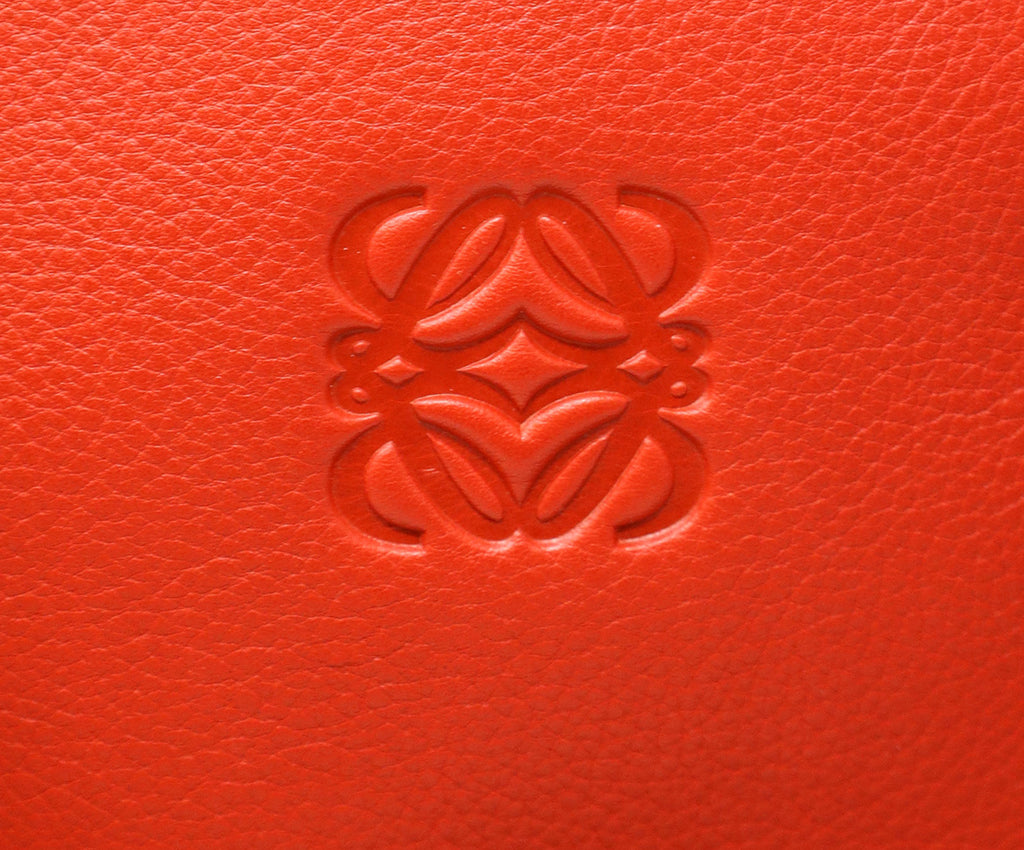 Loewe Red Orange & Blue Leather Amazona Tote 10